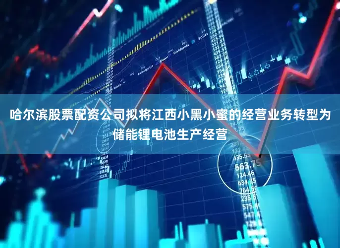 哈尔滨股票配资公司拟将江西小黑小蜜的经营业务转型为储能锂电池生产经营