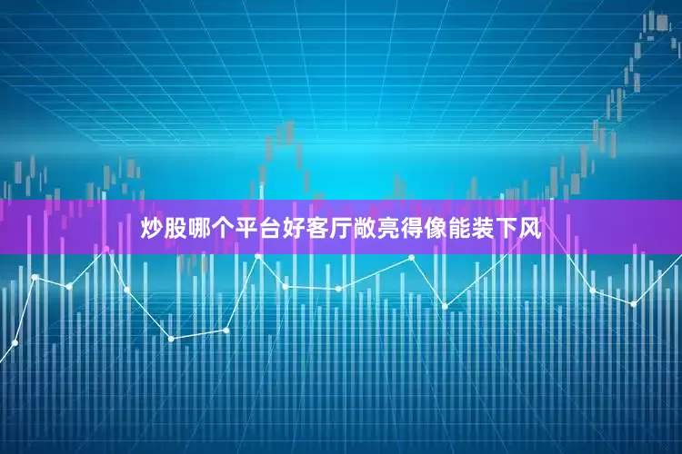 炒股哪个平台好客厅敞亮得像能装下风