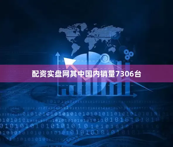 配资实盘网其中国内销量7306台