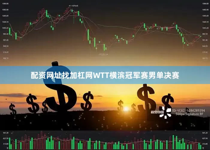 配资网址找加杠网WTT横滨冠军赛男单决赛