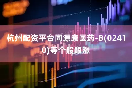 杭州配资平台同源康医药-B(02410)等个股跟涨